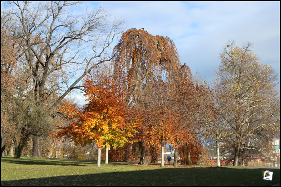 %Europe/Berlin Nov 25